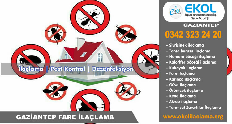 Fare İlaçlama Servisi