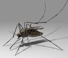 sivrisinek ilaçlama